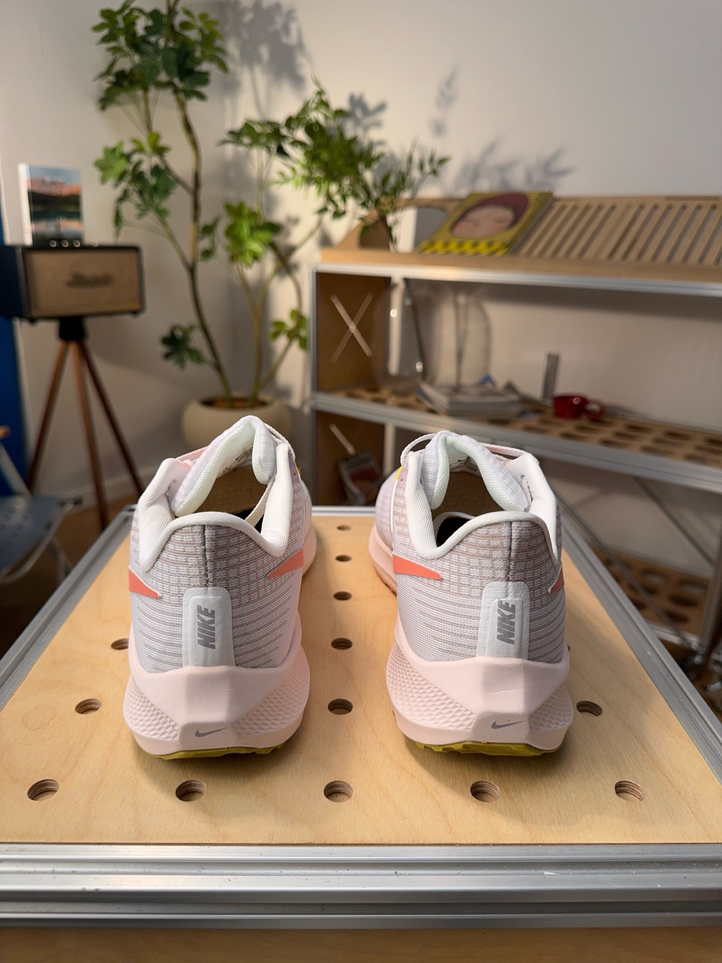 Nike Jordan